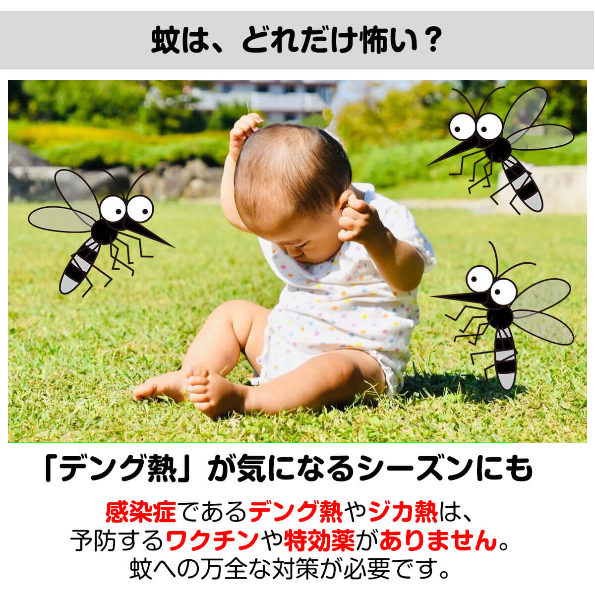 蚊への万全な対策
