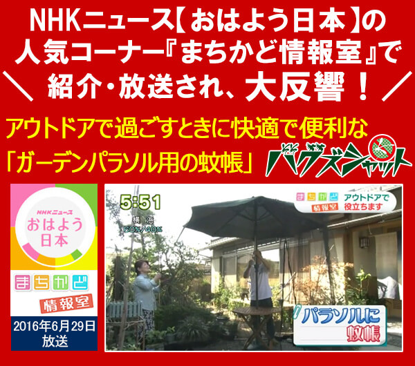 バグズシャットがメディアで紹介されました!